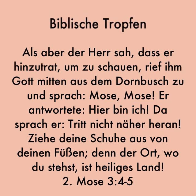 Was ist das Wort Gottes?