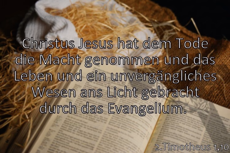 Wie hat Jesus den Weg zum ewigen Leben ans Licht gebracht?