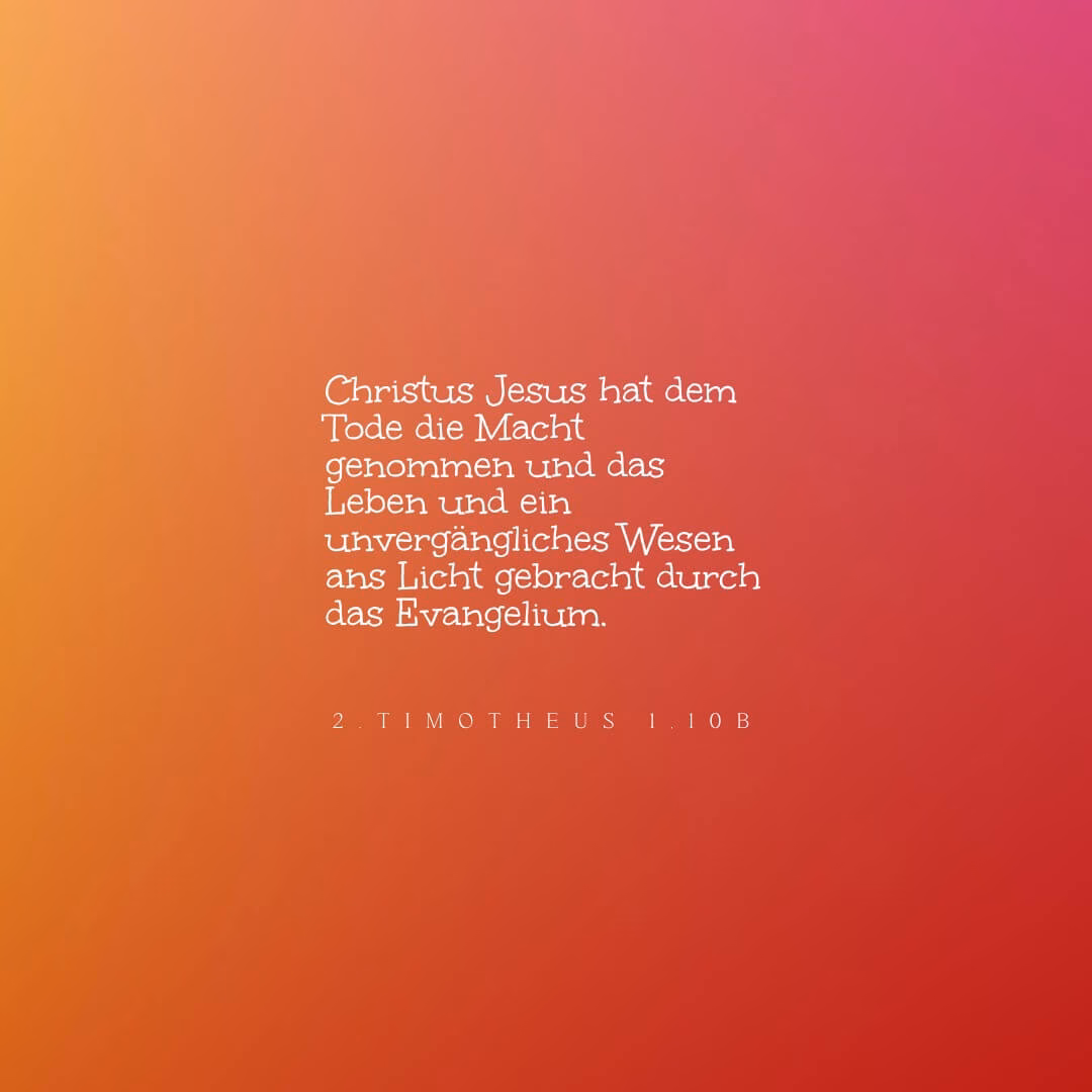 Wie hat Jesus den Weg zum ewigen Leben ans Licht gebracht?