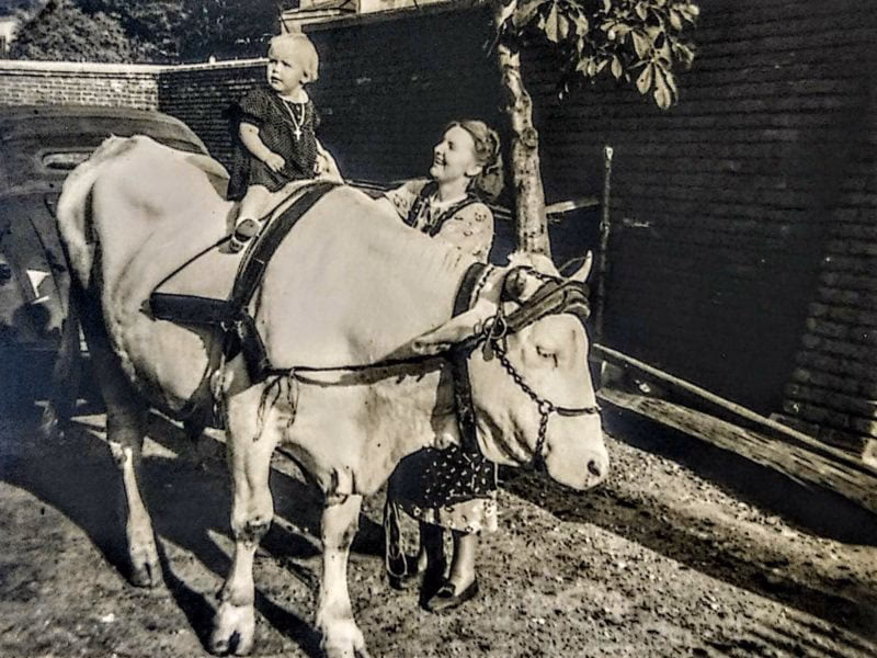 Wie wird bayerisches Leberkäse hergestellt?