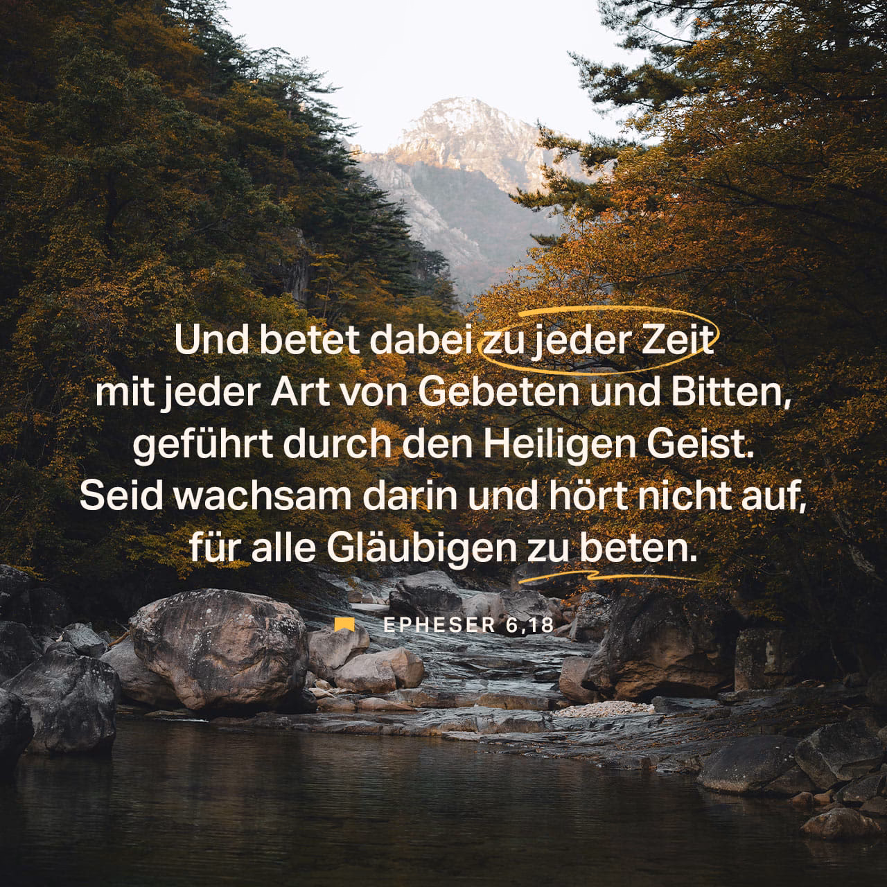 Was sagt die Bibel über das neue Leben?