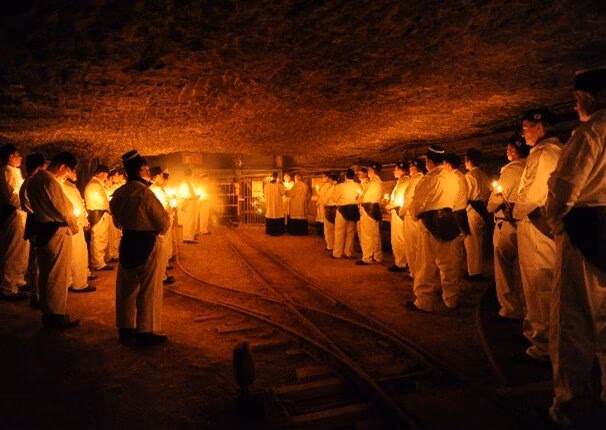 Warum ist der Walfang so umstritten?