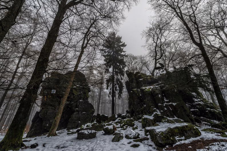 Was gibt es in Dillenburg zu sehen?