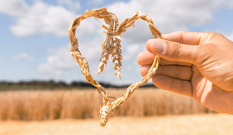 Was ist der Sinn eines Erntedankgebets?