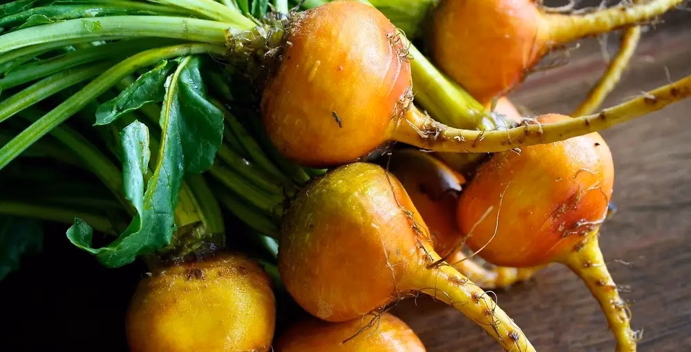 Wie lagert man Rote Bete im Garten?