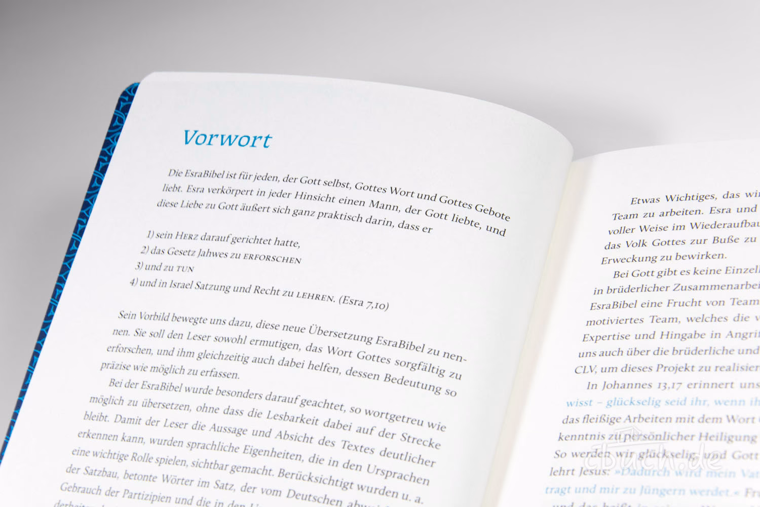 Wie kann ich täglich in der Bibel lesen?