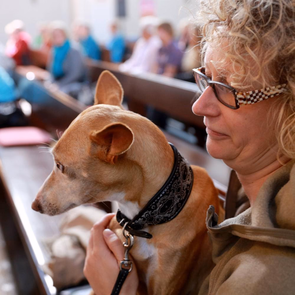 Ist es erlaubt einen Hund zur Bewachung des Hauses zu halten?