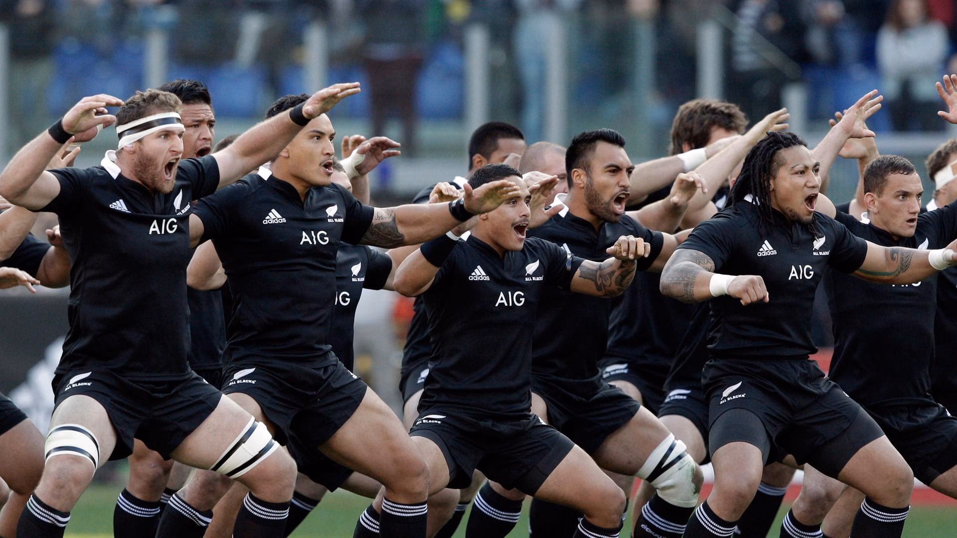 Wie wirkt sich der Tanz auf Performer und Publikum aus?