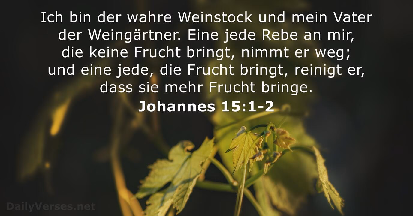 Wie mich der Vater geliebt hat so habe ich euch geliebt?