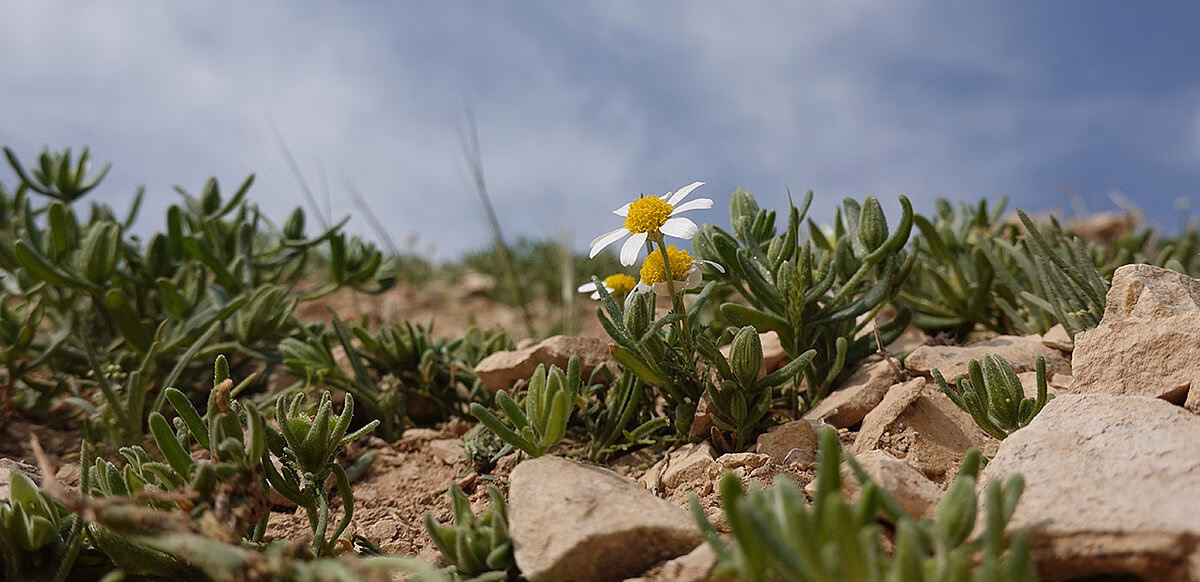 Was sagt der Bibel über die Geheimnisse des Himmelreichs?