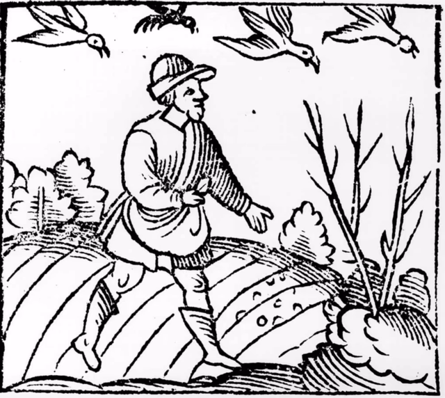 Was ist das Evangelium nach Johannes?