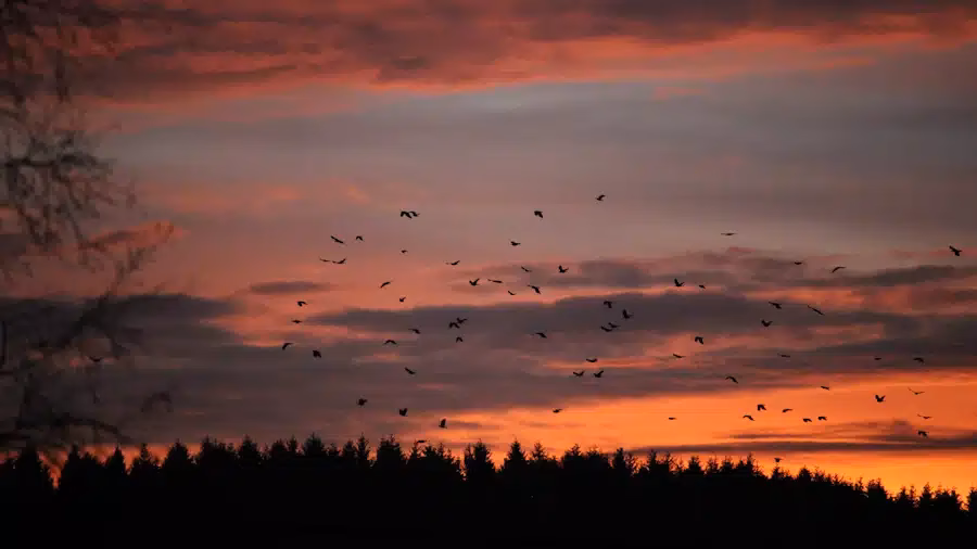 Was ist der Unterschied zwischen einem Gedenktag und einem Ewigkeitssonntag?