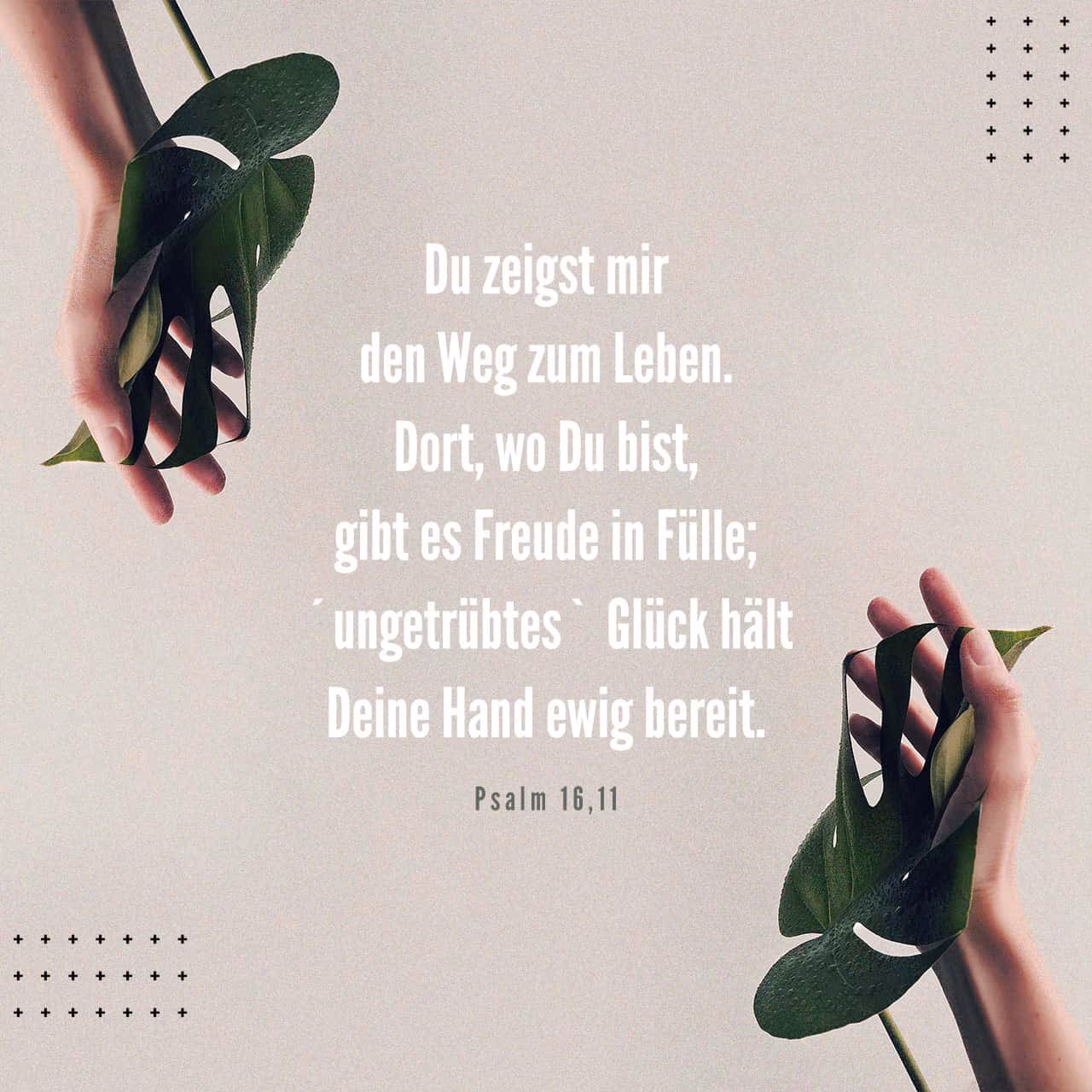 Was ist ein Zeichen für Glück bei Menschen?