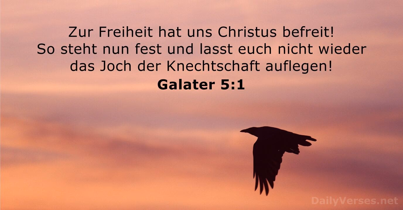 Wie bewahre ich meine Freiheit in Christus?