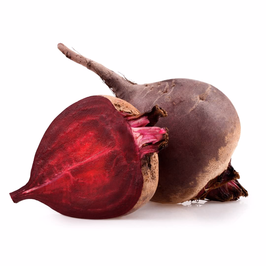 Wann wird Rote Bete geerntet?