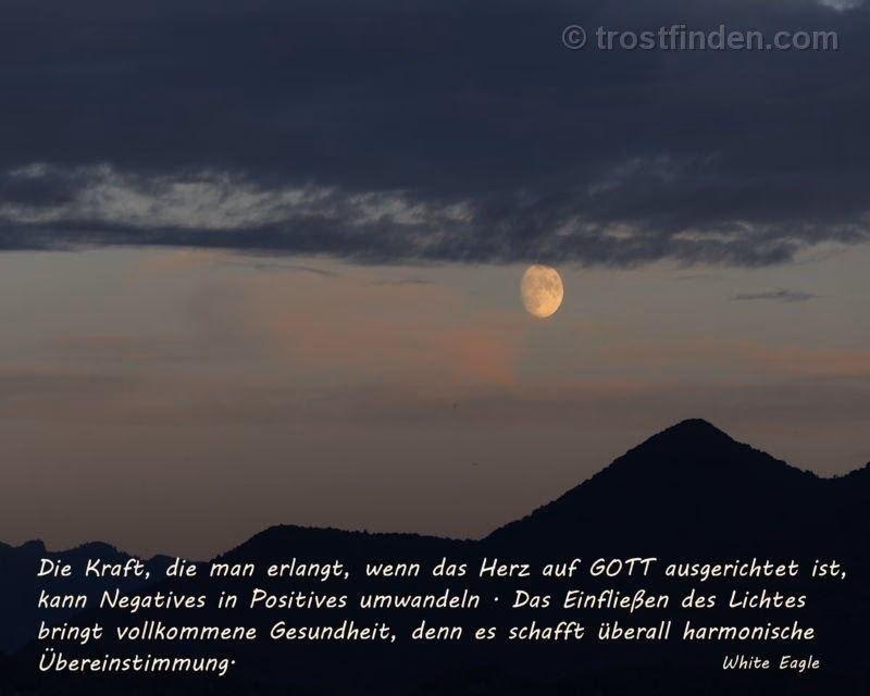 Welche Bedeutung hat das Wort im gottesdienstlichen Geschehen?