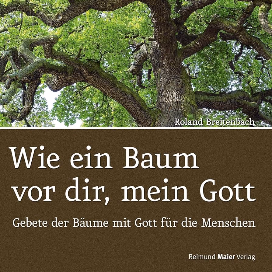 Was tut der Baum während des Unwetters?