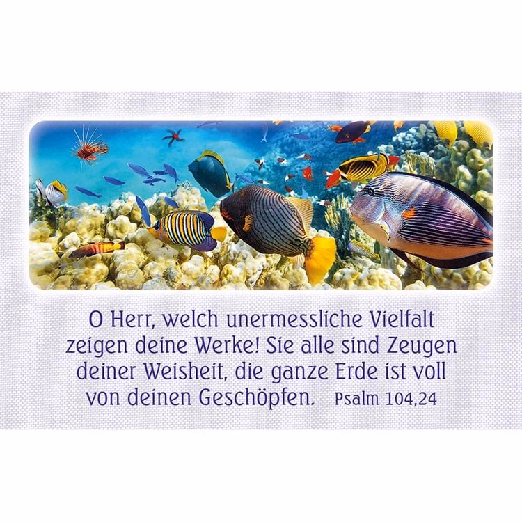 Was sagt der Bibel über die Fische?