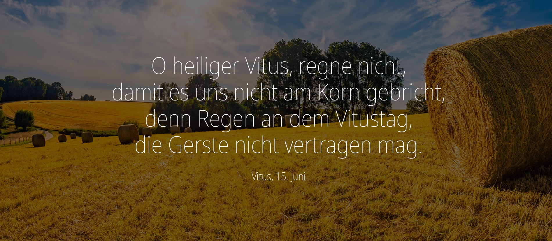 Was ist die Zusage von Gott?