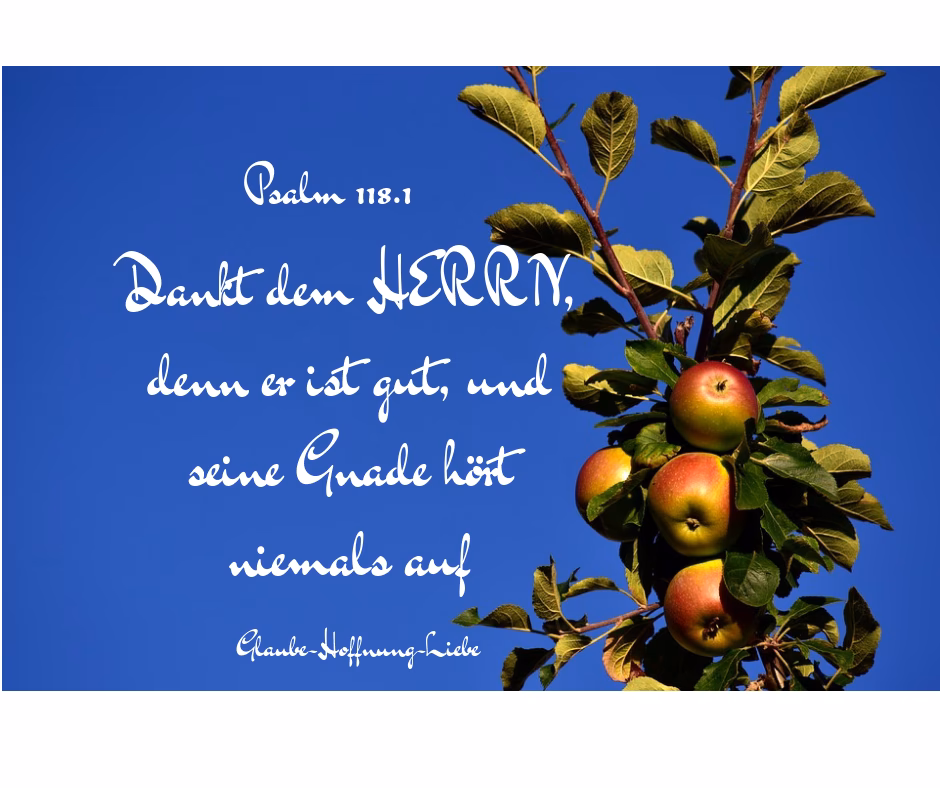 Was ist die Zusage von Gott?