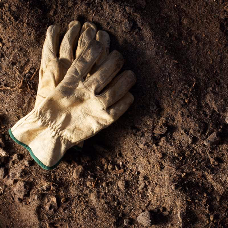 Was sagt der Bibel über Gott?