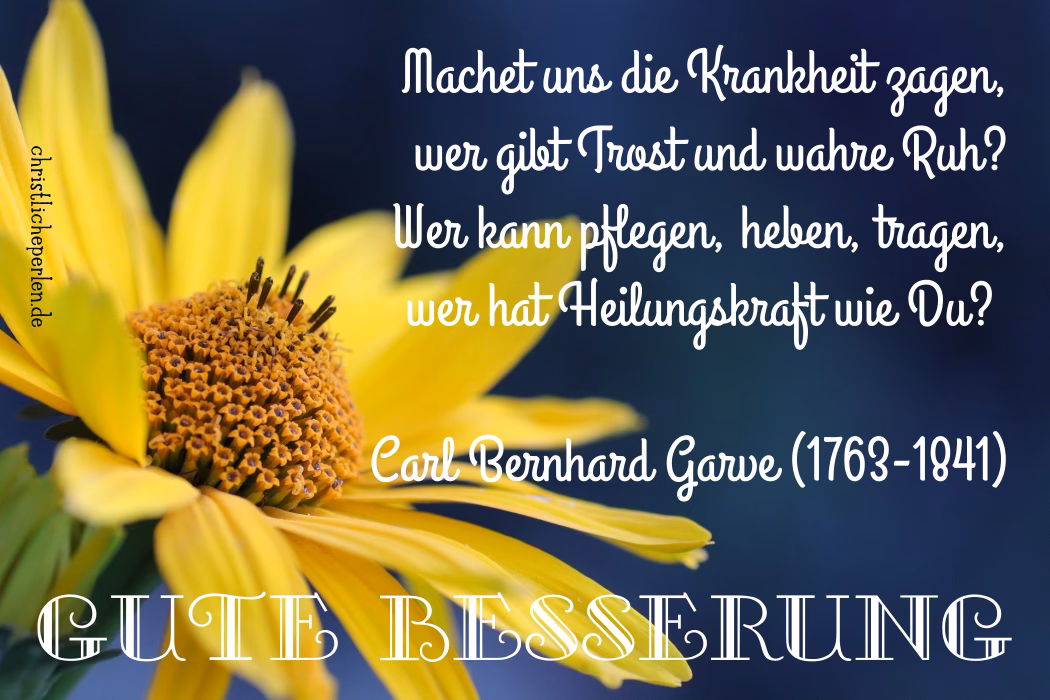 Wie schreibe ich eine gute Genesung?