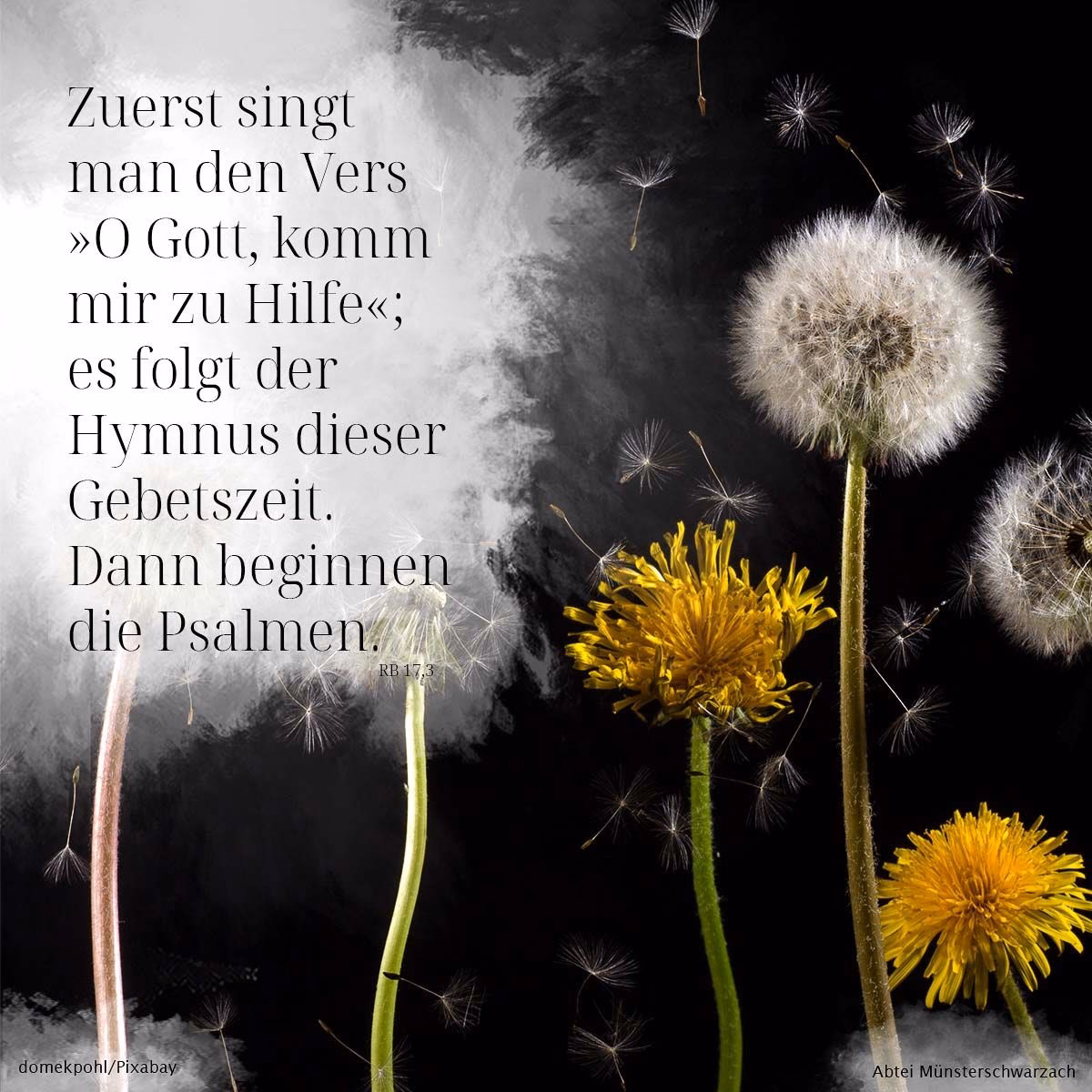 Was sagt der Bibel über die Ehre?