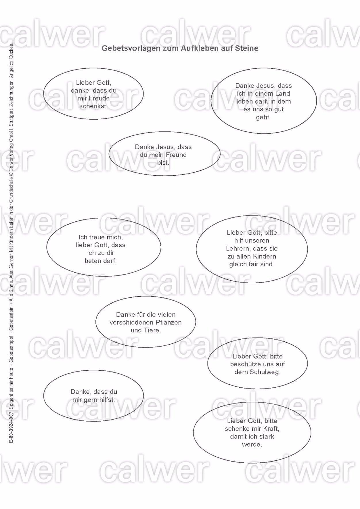 Wie viele Sinnesorgane gibt es in der Bibel?