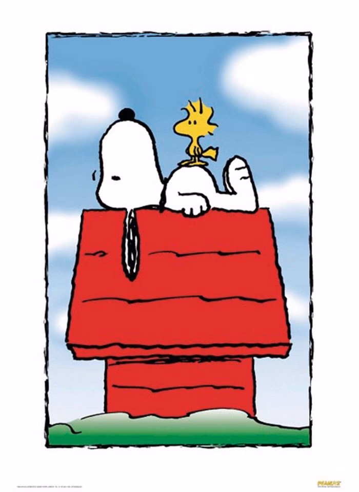 Was ist das Snoopy-Ferienbuch?