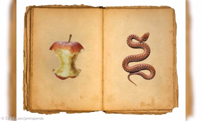 Welche Folgen hat die Sünde für die Beziehung zu Gott?