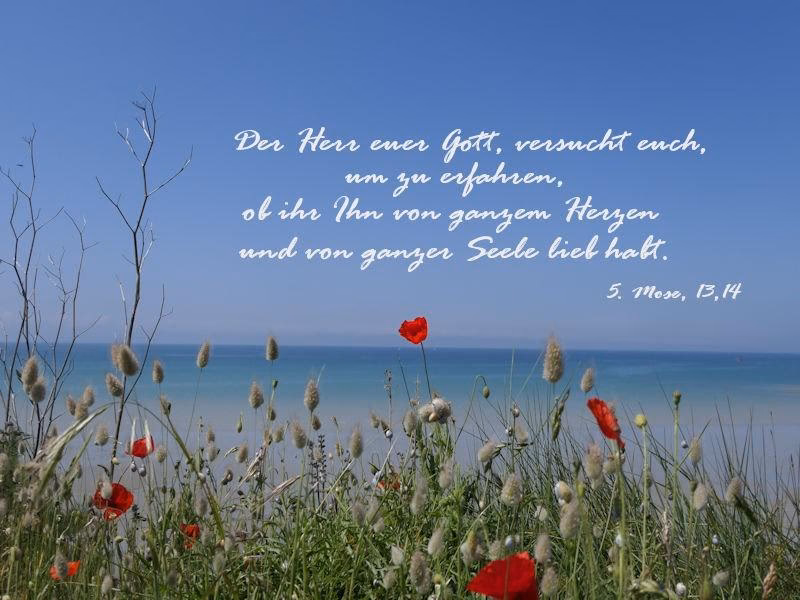 Was hat Gott mit dem echten Leben zu tun?