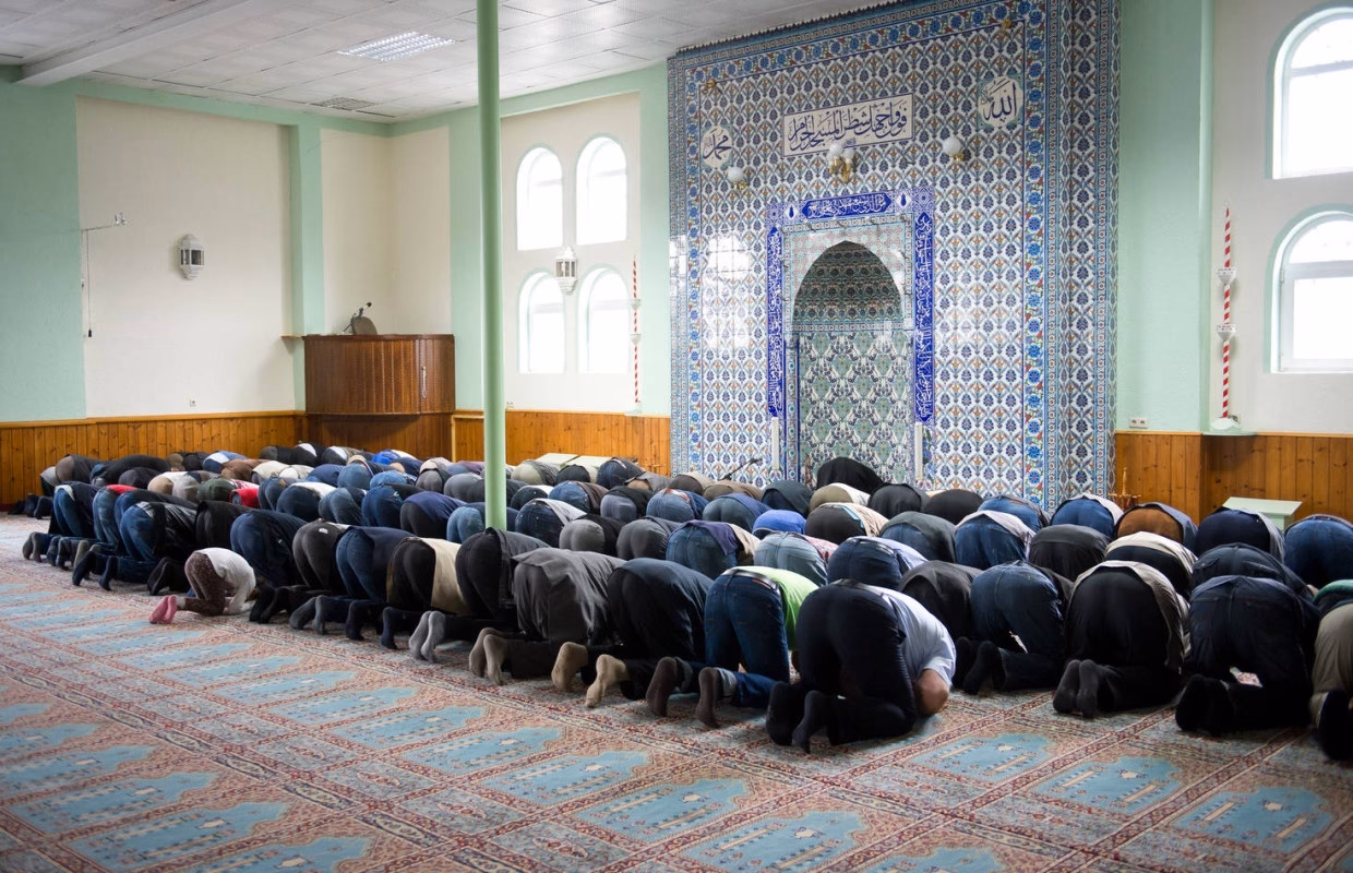 Wie viele weiße evangelikalen gibt es in den USA?