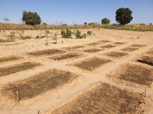 Wie wirkt sich die Halbmond-Zaï-Methode auf die Gesundheit aus?