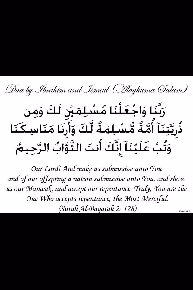 Was sagt der Quran über die Muslime?