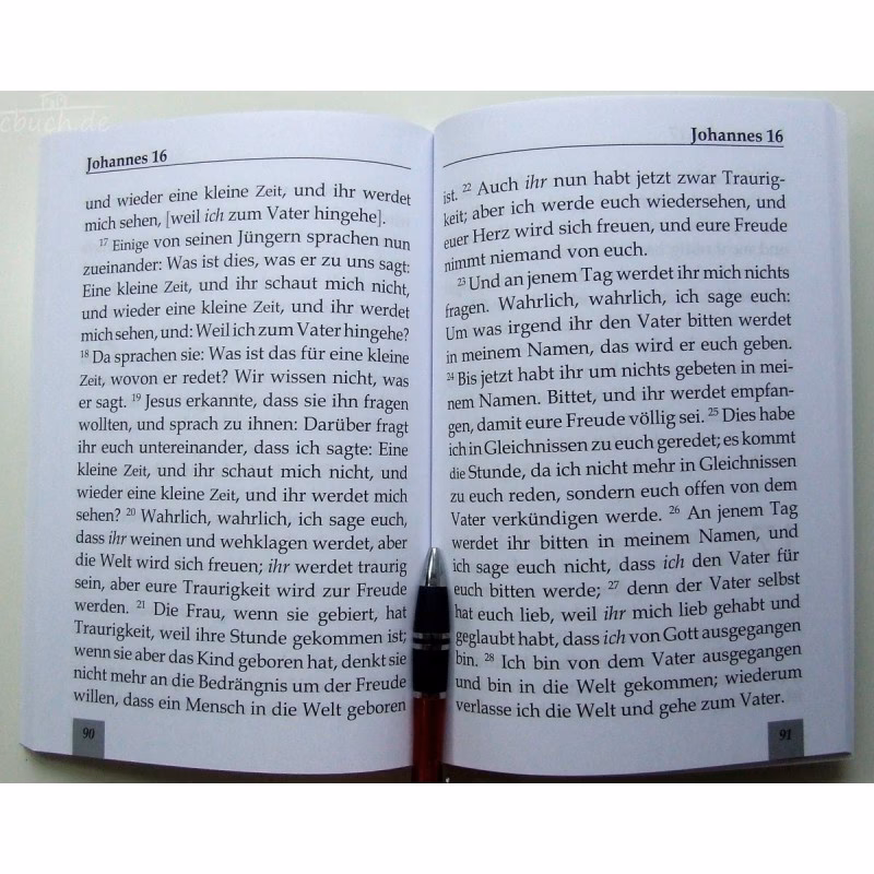 Wer hat das Evangelium niedergeschrieben?