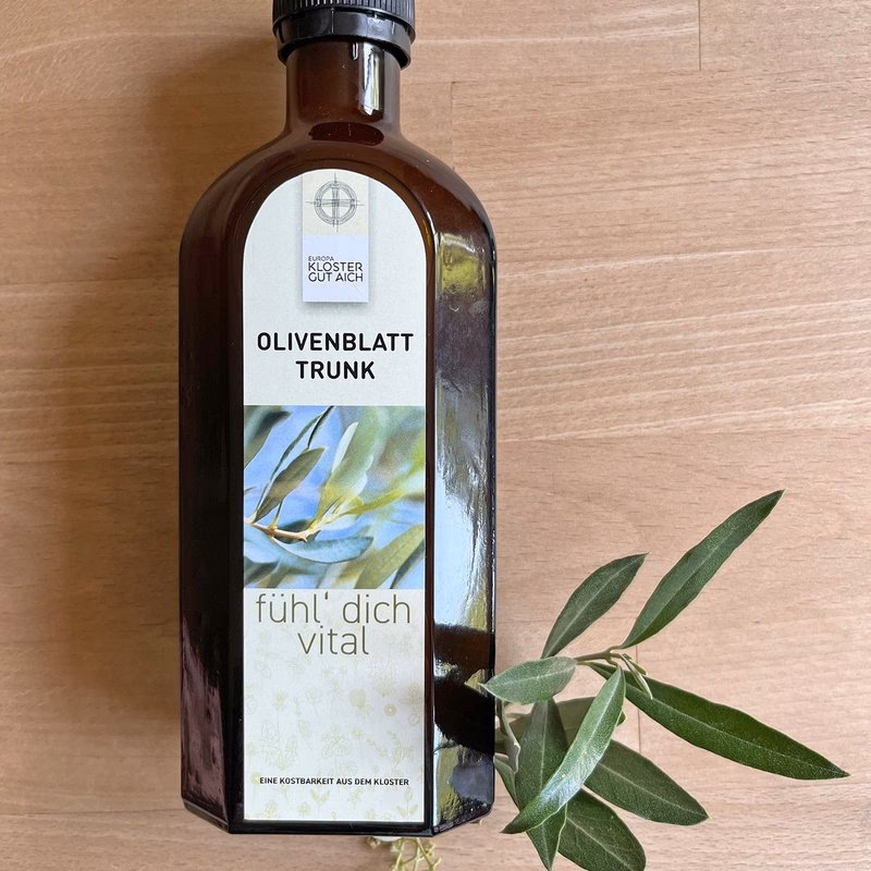 Was kann man im Kloster am Wolfgangsee machen?