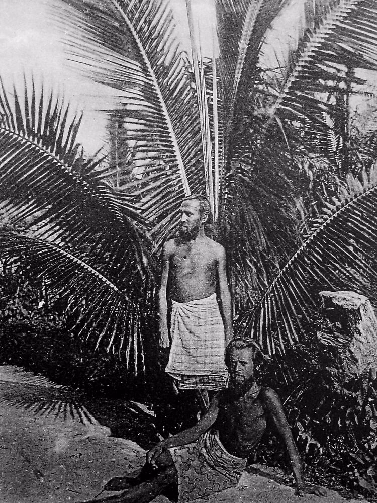 Was ist die Kokosdiät?