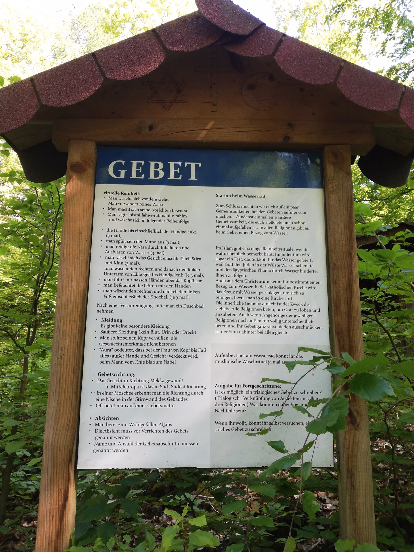 Welche Schulformen gibt es in Biedenkopf?