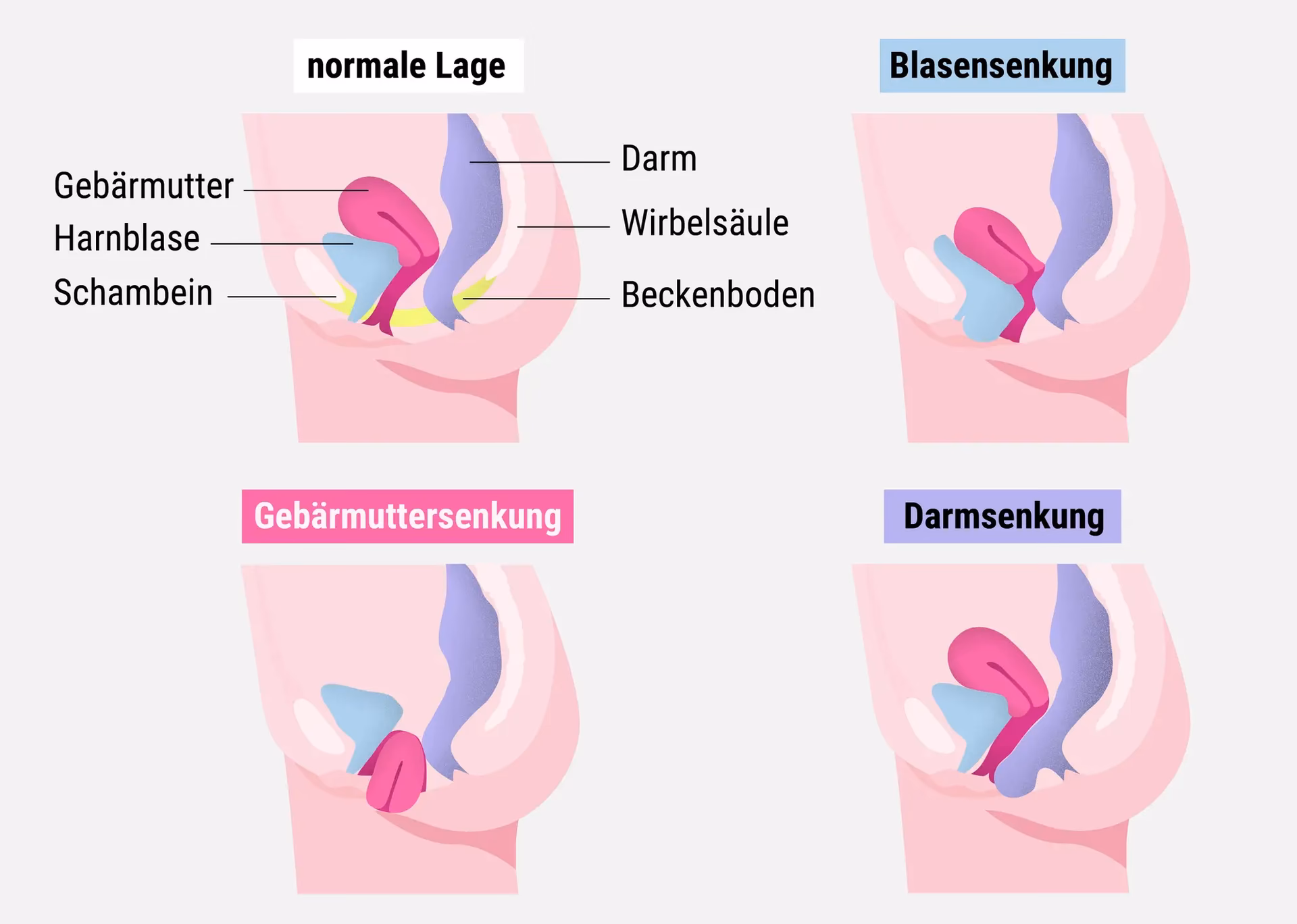 Was passiert nach der Entbindung?
