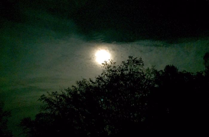 Wer ist der Gründer der Sekte?