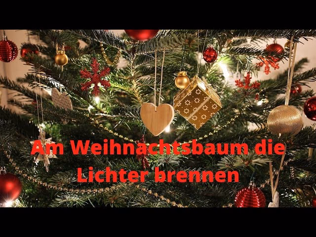 Wann wurde die Tradition des beleuchteten Weihnachtsbaums eingeführt?