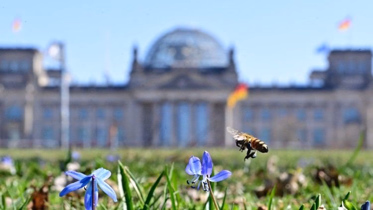 Was sind die Sitzungswochen des Bundestages in Berlin?