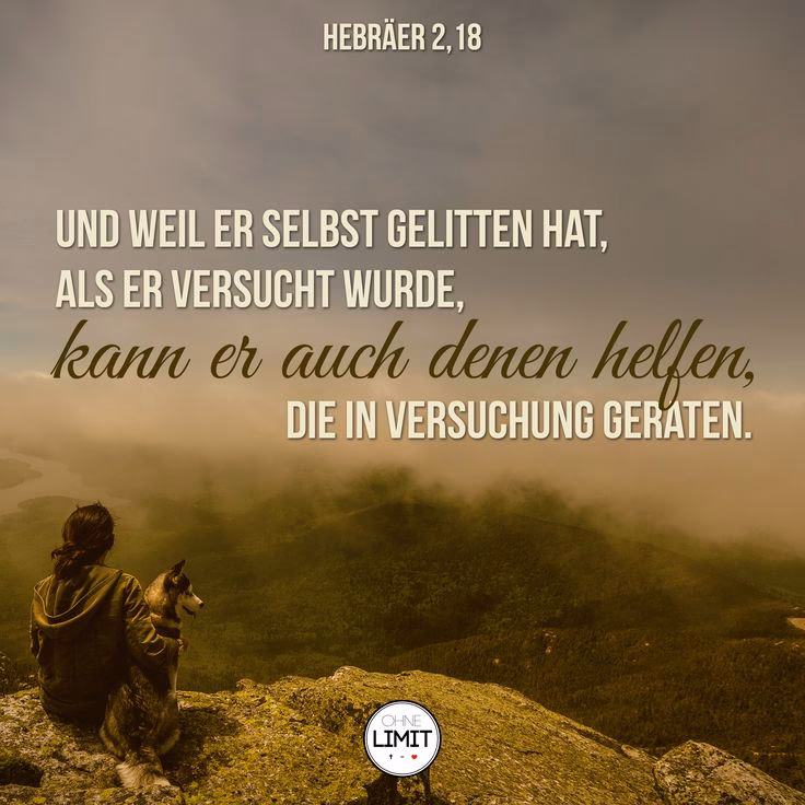 Was ist der Unterschied zwischen einem Evangelium und einem Glaubensbekenntnis?