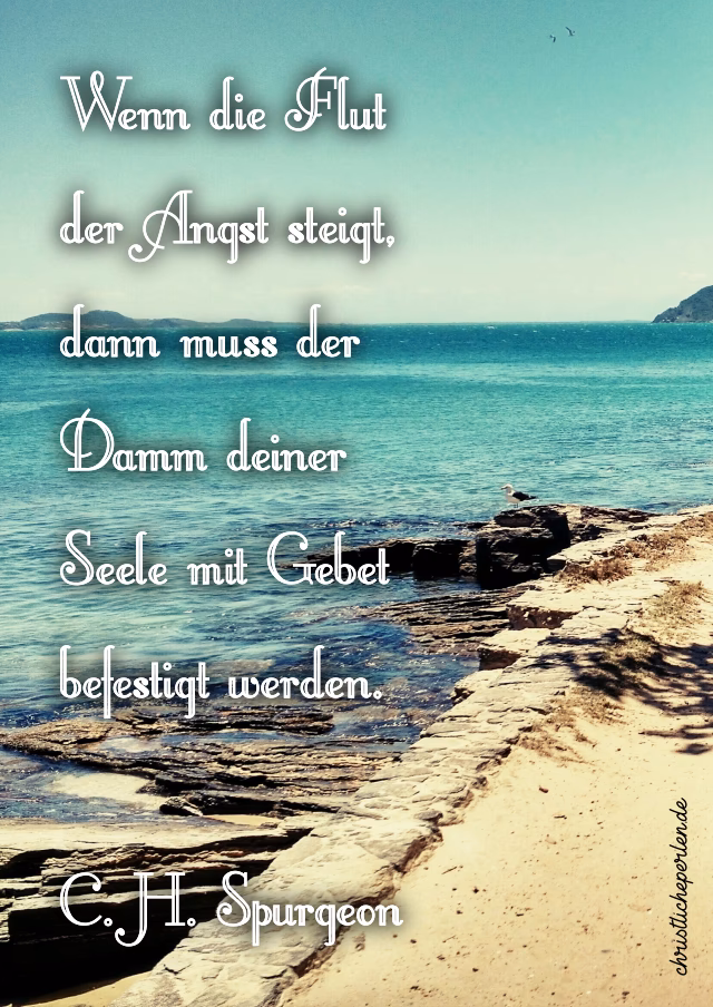 Was sagt der Bibel über Gottes Zusagen?