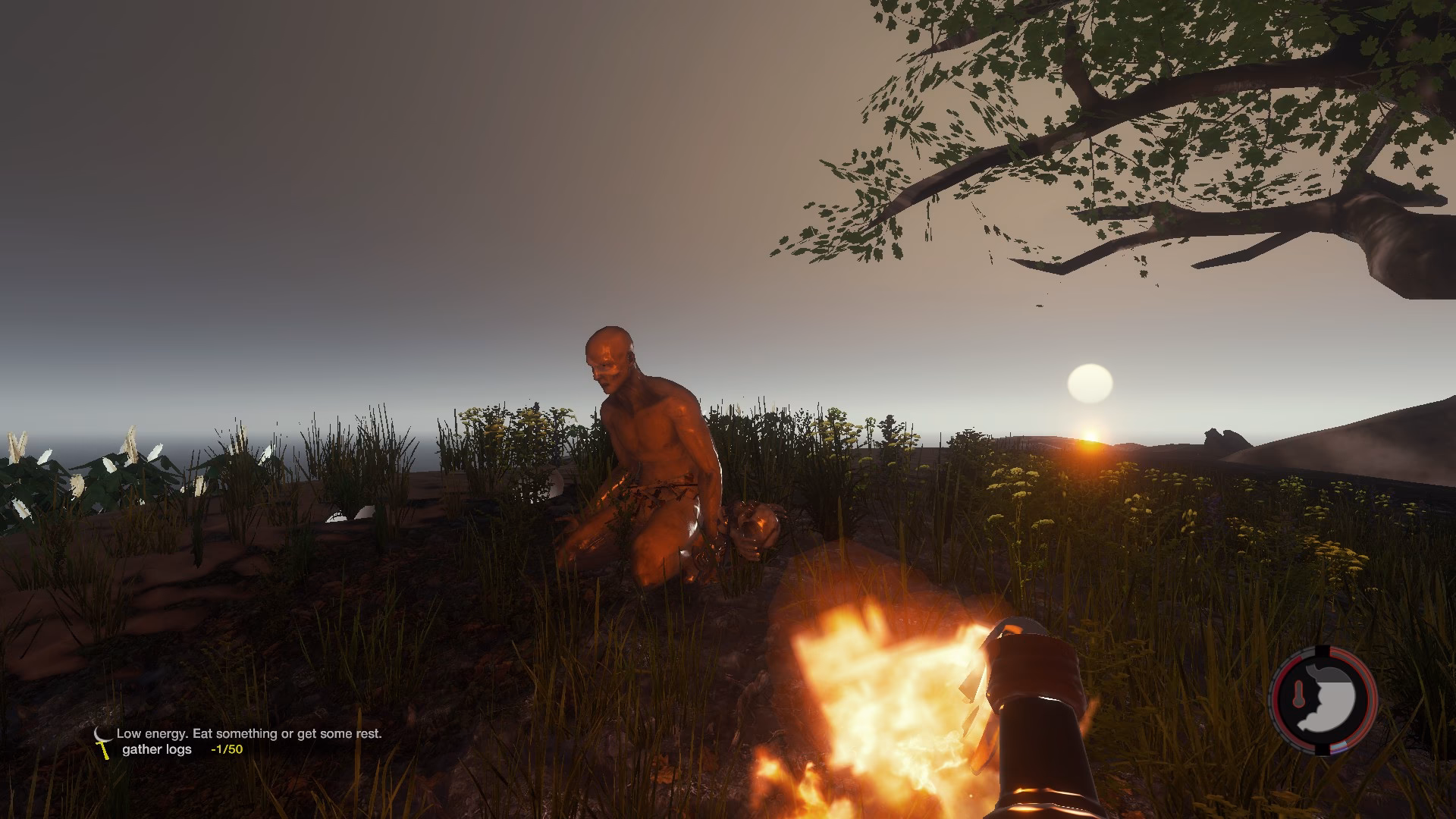 Wie schütze ich mich in the Forest?