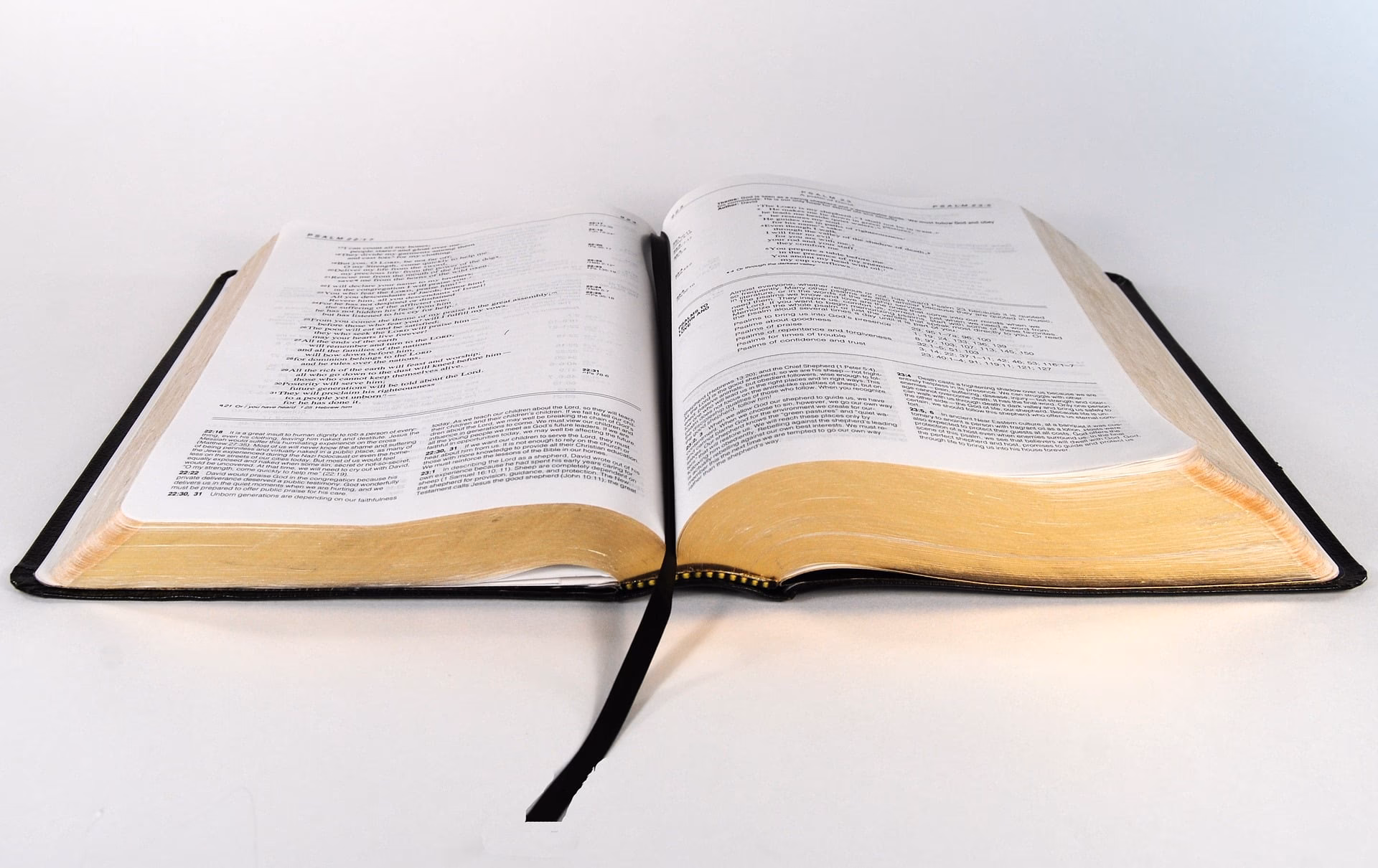 Wer liest das Evangelium?