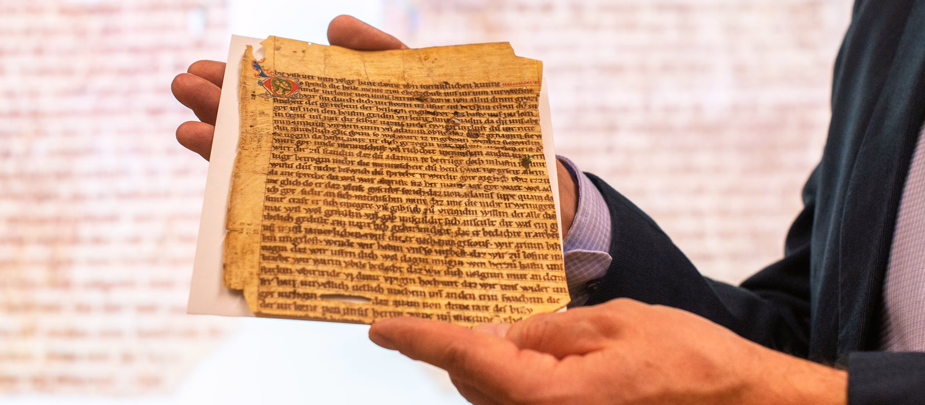 Was ist der Unterschied zwischen einem Neuen Testament und einem Evangelien?