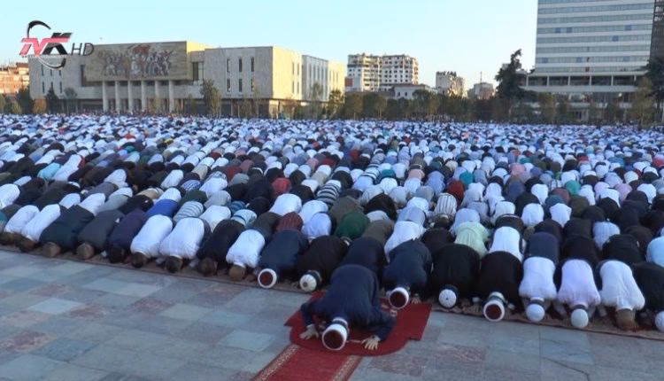 Wie viele Albaner gibt es in Deutschland?