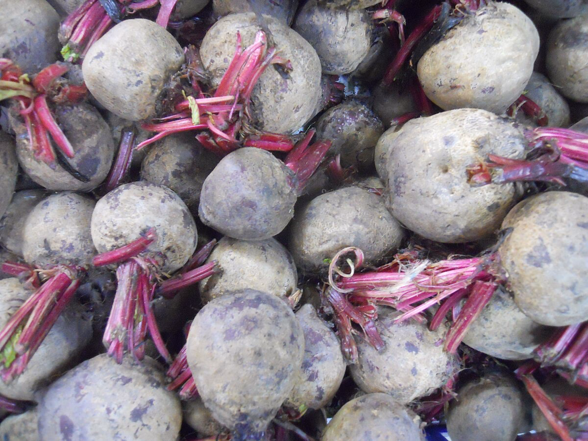 Kann man aus Roter Bete einen Salat zubereiten?